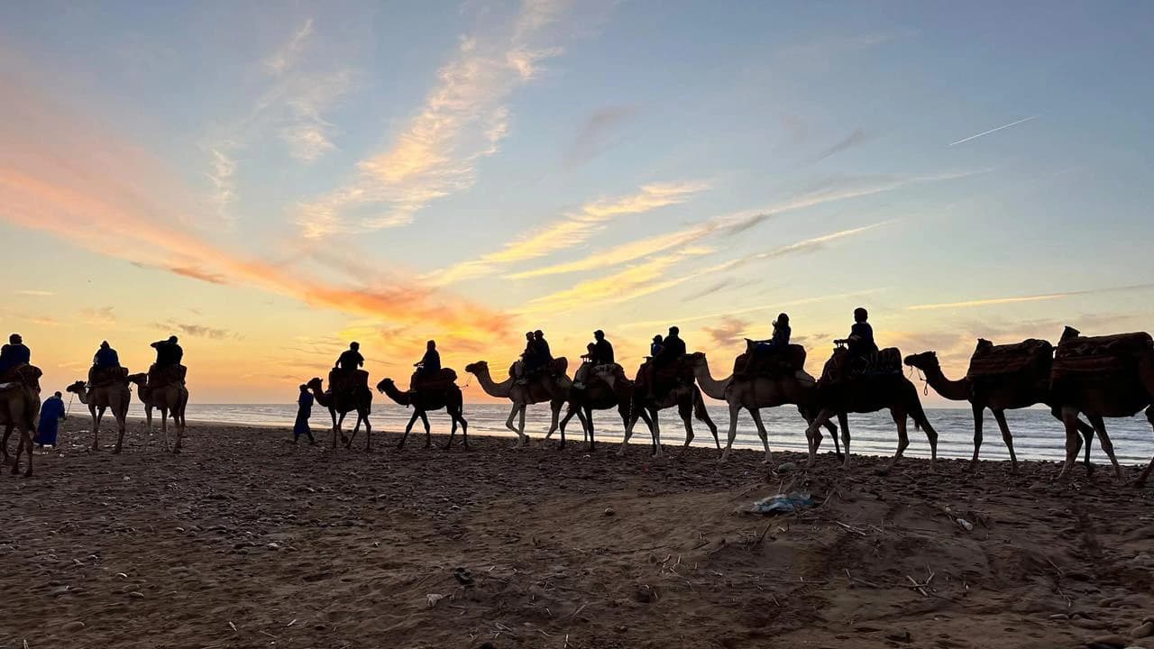 Camel ride on the beach at sunset