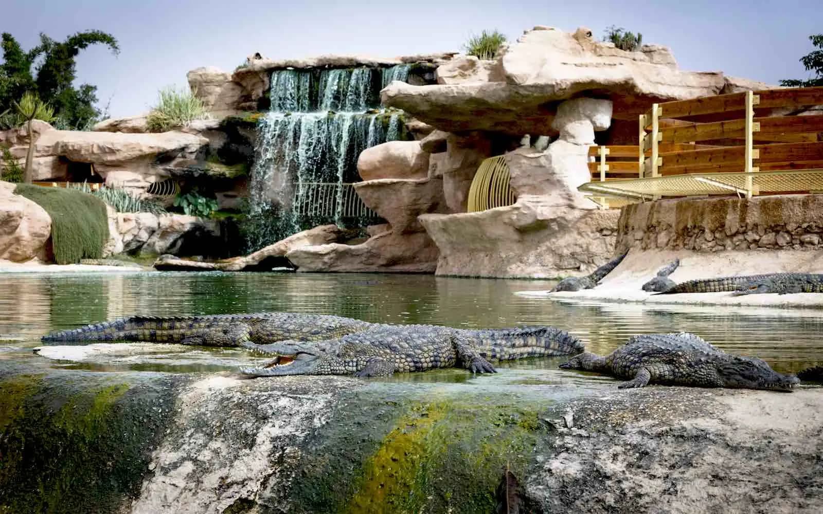 Croco Parc