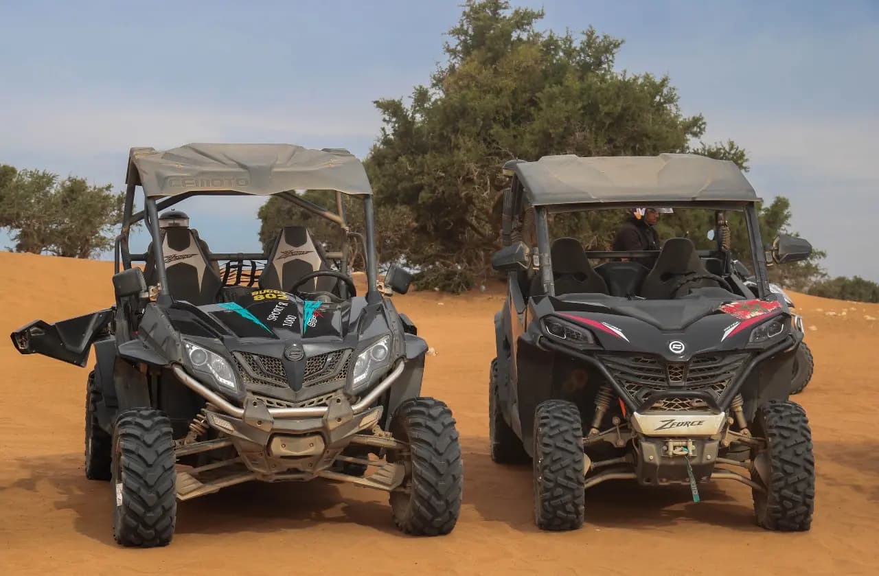 Buggy Adventure