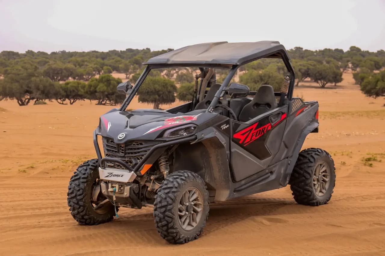 Buggy Adventure