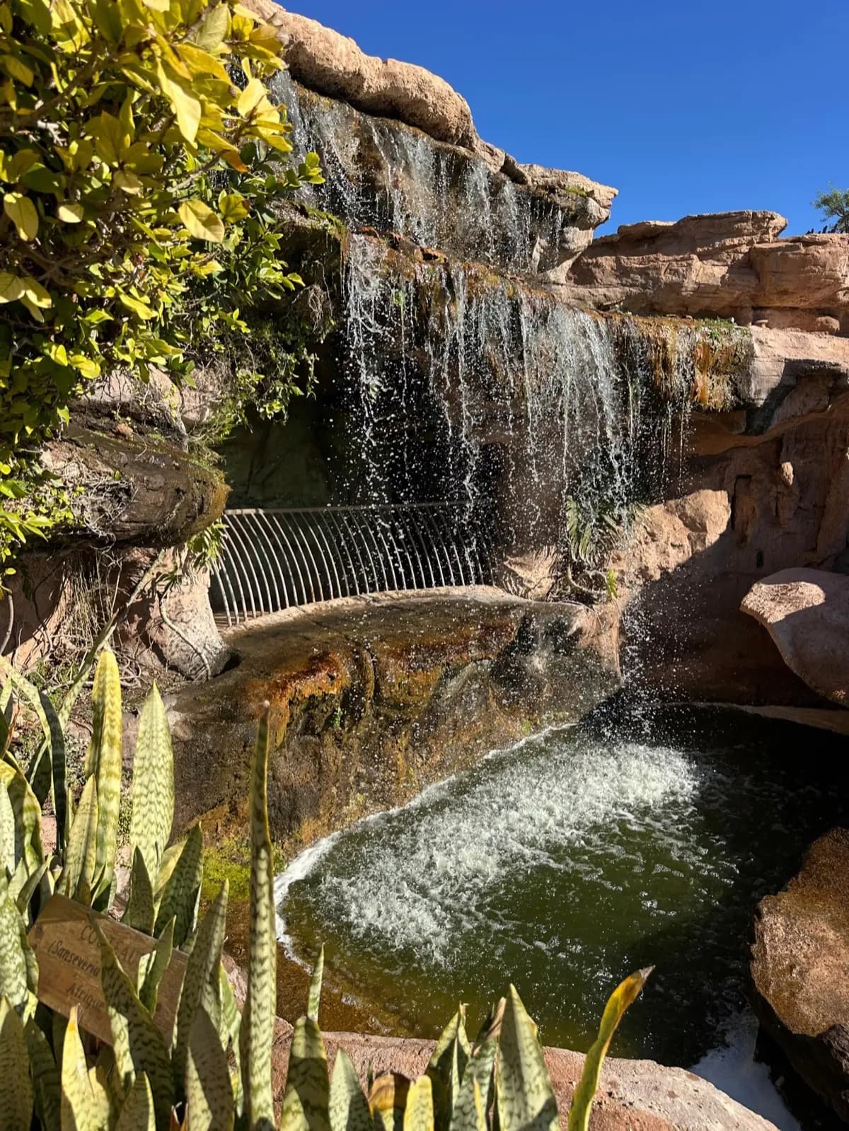Croco Parc