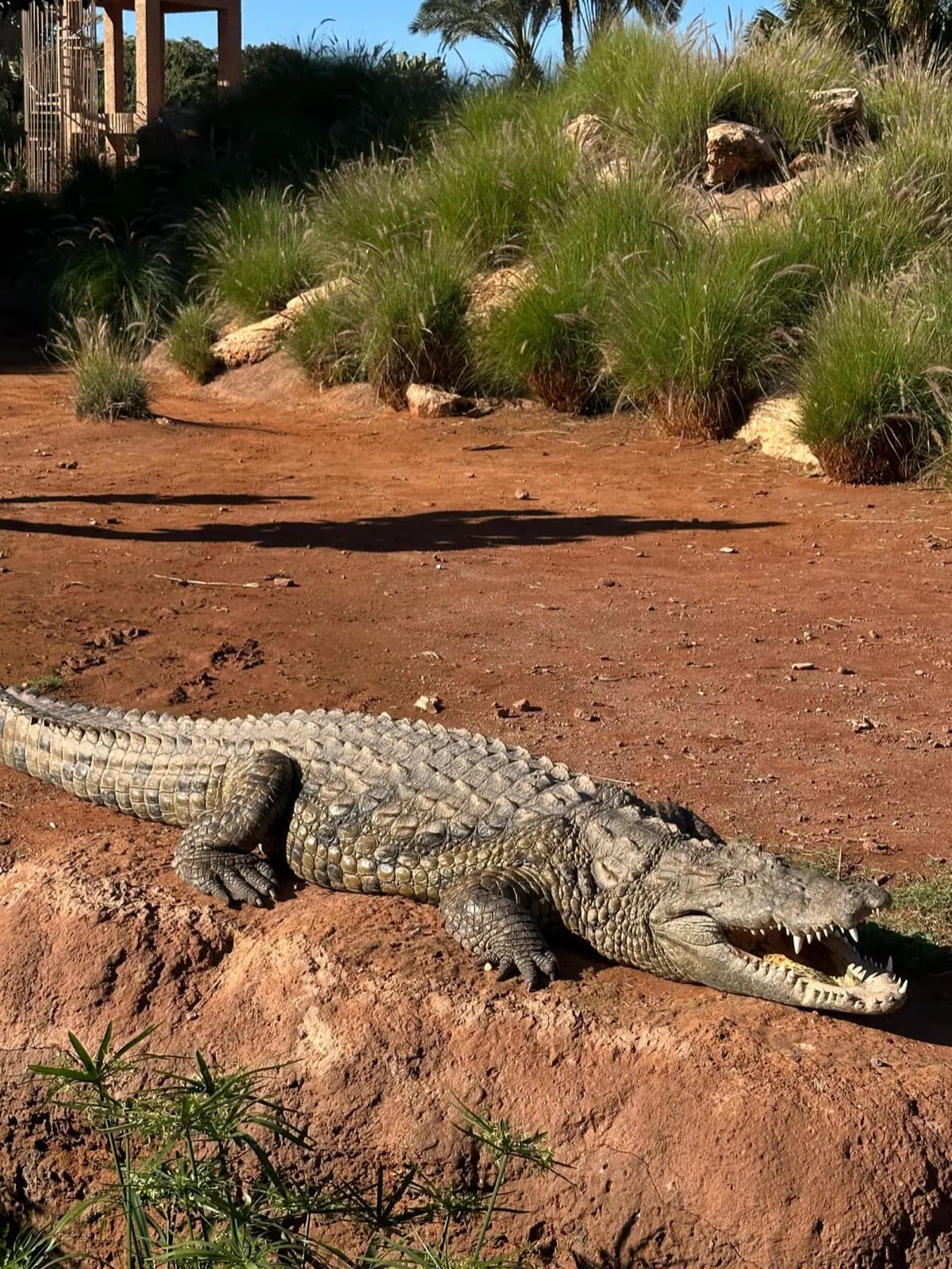 Croco Parc
