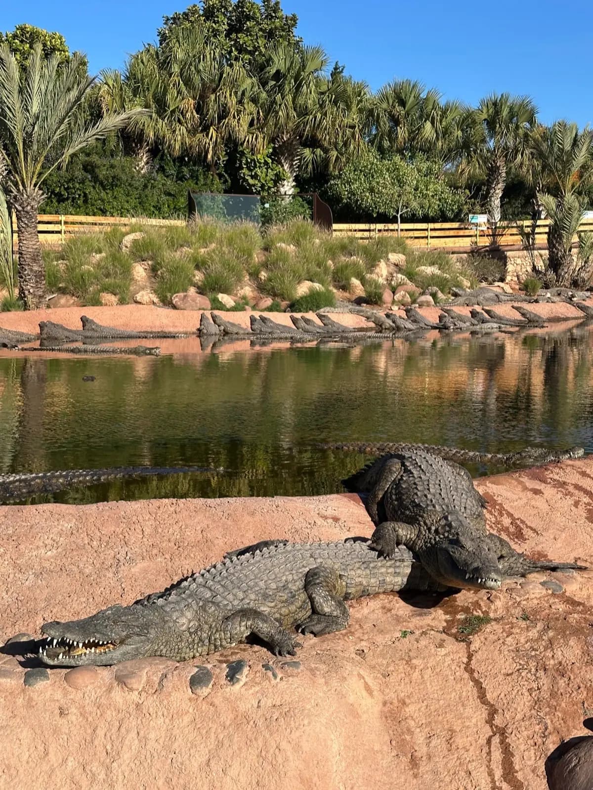 Croco Parc