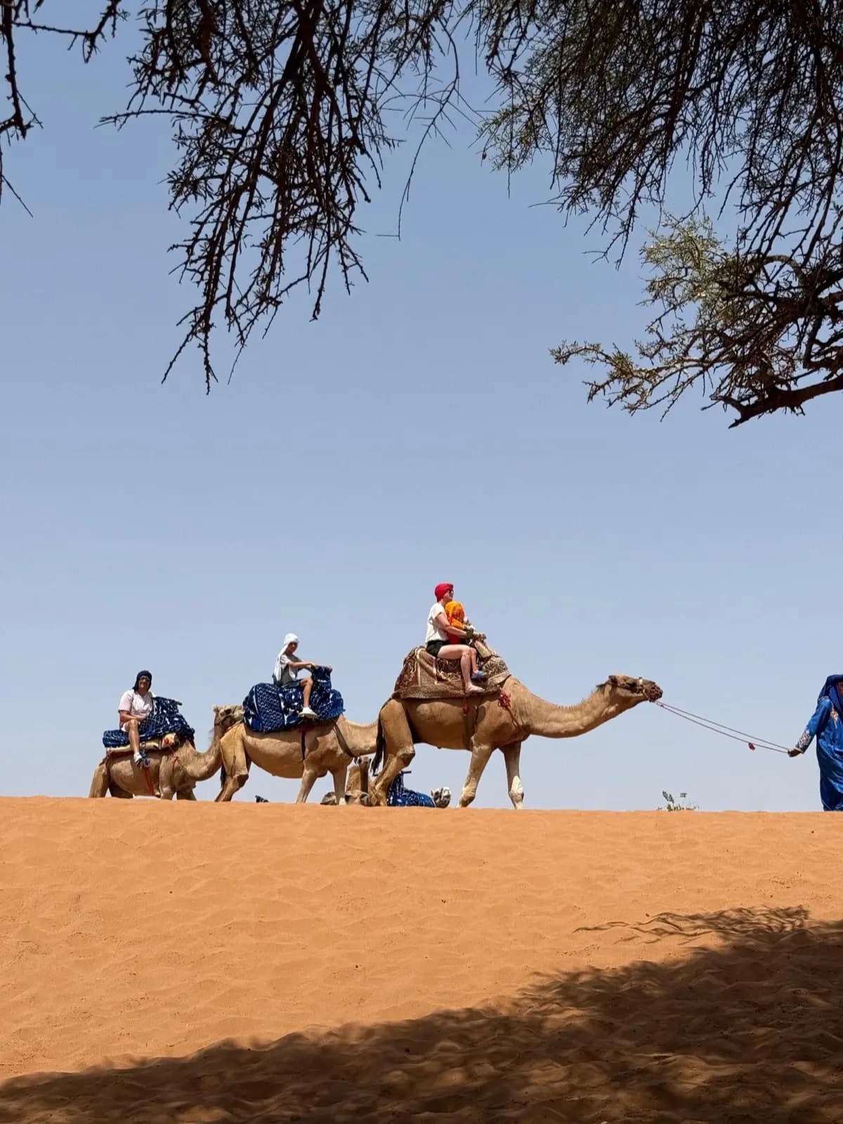 Mini Sahara Trip