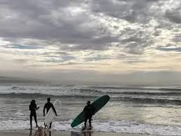 Surfing