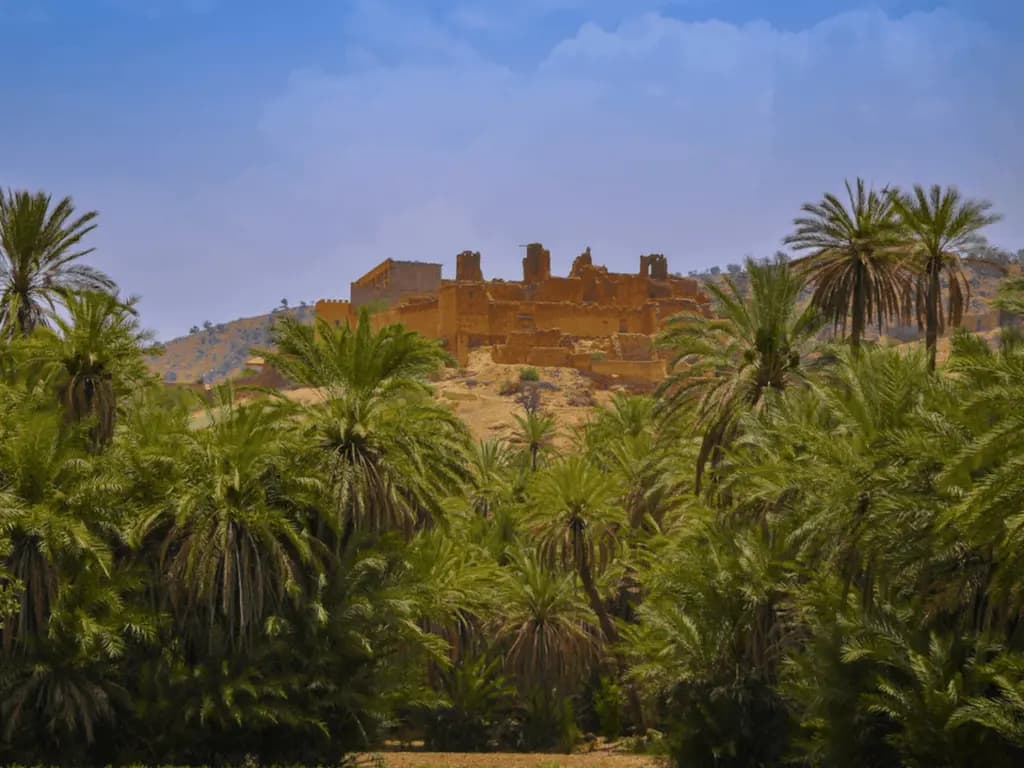 Taroudant & Tiout