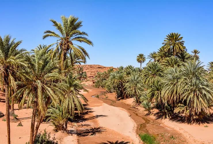 Taroudant & Tiout
