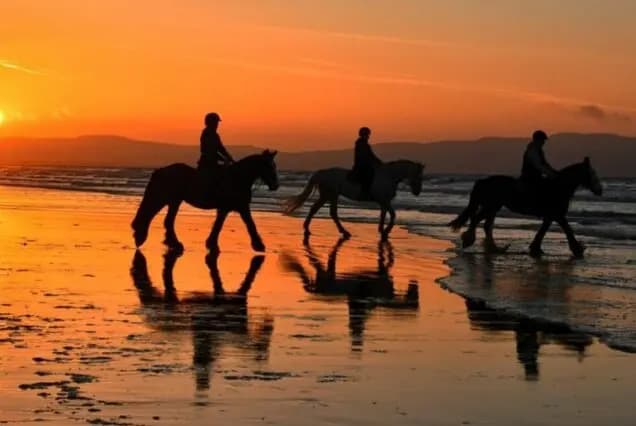 Beach Horse Ride